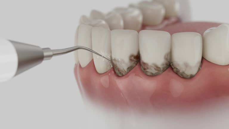 Reliable Dental contractor in Plains, KS by Dentist Open Now